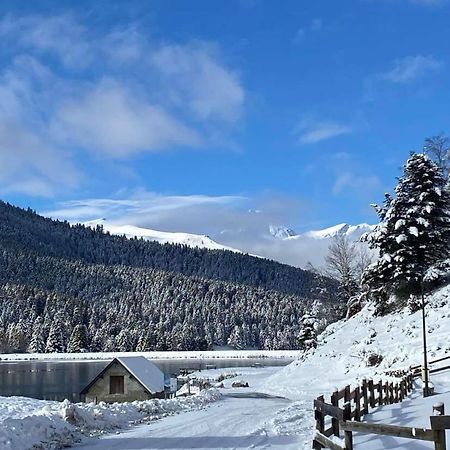 Gite Du Montagnol A Payolle Sainte-Marie-de-Campan Buitenkant foto