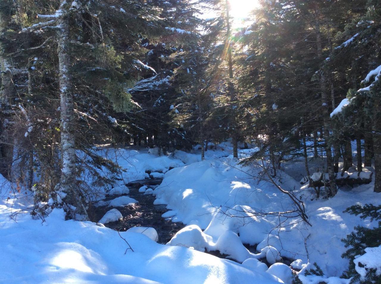 Gite Du Montagnol A Payolle Sainte-Marie-de-Campan Buitenkant foto