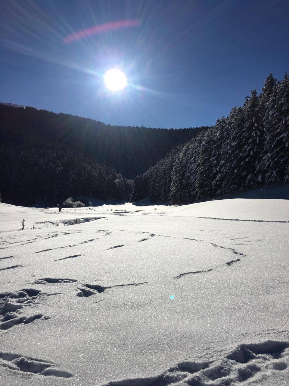 Gite Du Montagnol A Payolle Sainte-Marie-de-Campan Buitenkant foto