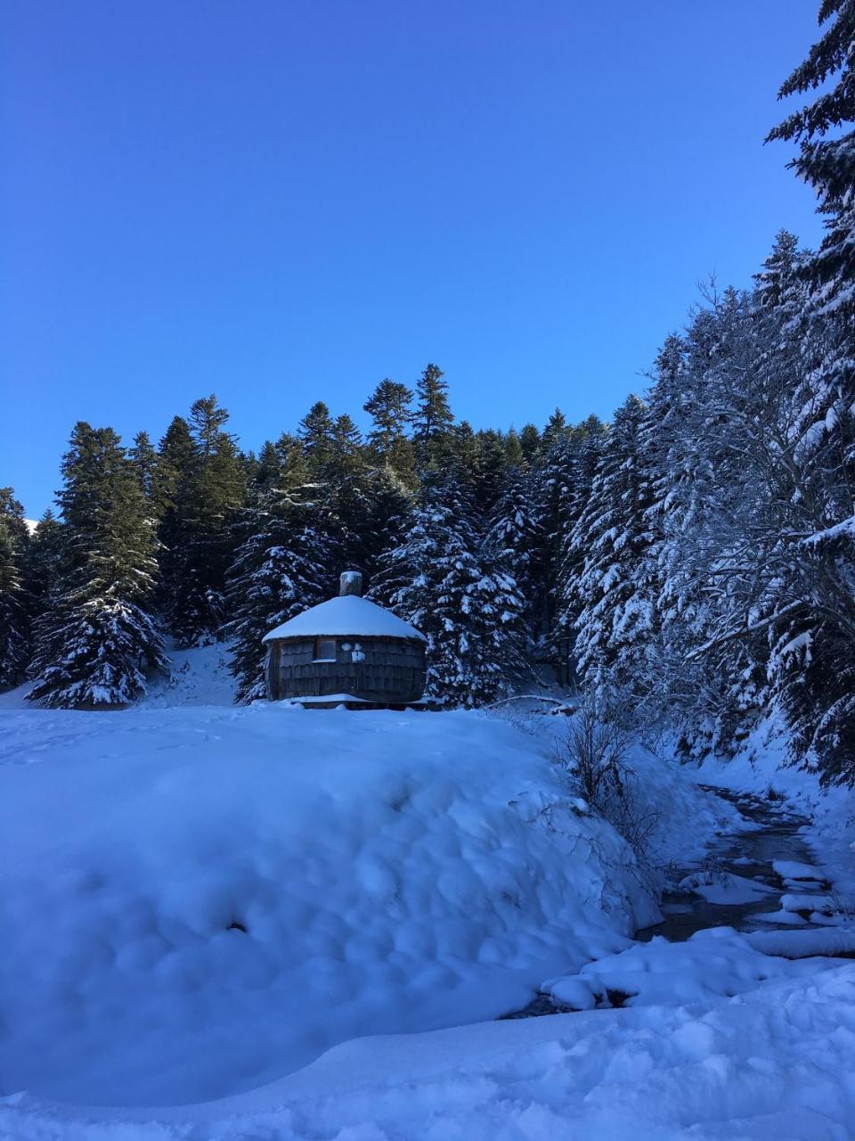 Gite Du Montagnol A Payolle Sainte-Marie-de-Campan Buitenkant foto